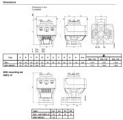 SAL81.00T10 ROTARY VANA MOTORU