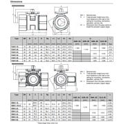 VAI61.25-16 PN40 2Y DİŞLİ VANA